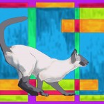 Blue Siamese